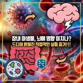 마이크로비움, 뇌 기능에 영향 미치나? 드디어 밝혀진 진실