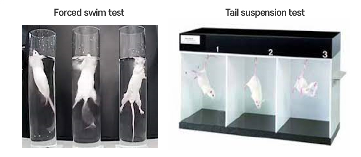 Forced swim test, Tail suspension test