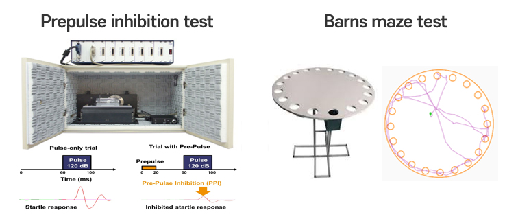 Prepulse inhibition test, Barns maze test