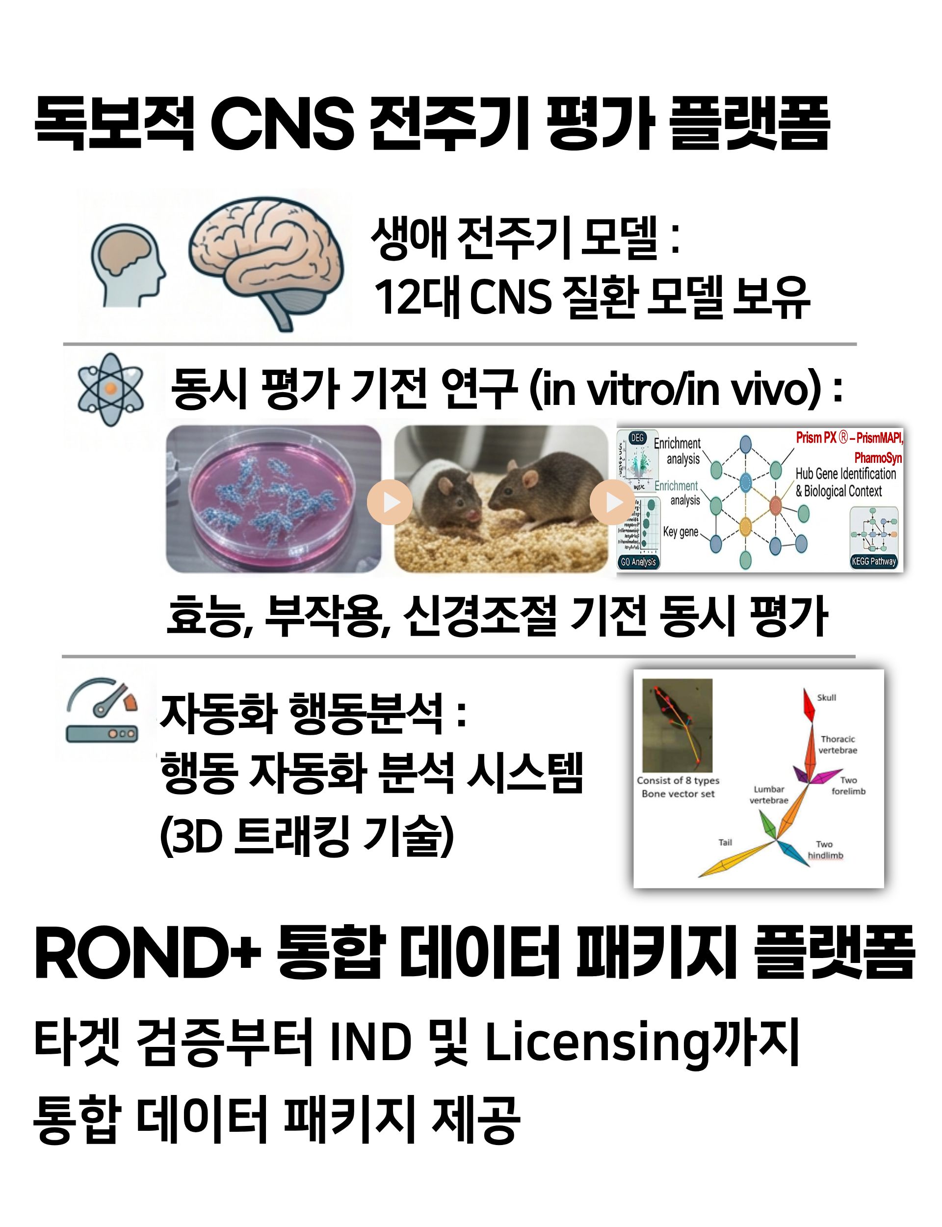 핵심 역량